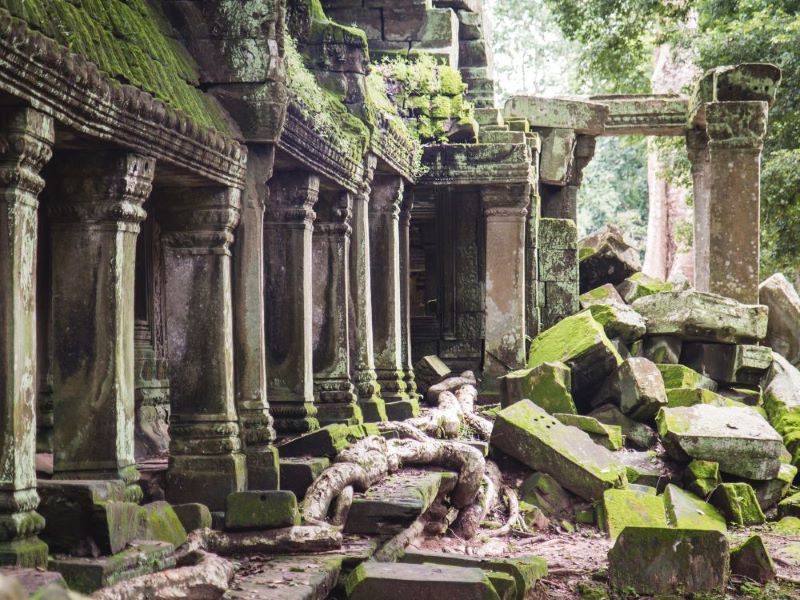 Moss grows on crumbling stone ruins in a forest.