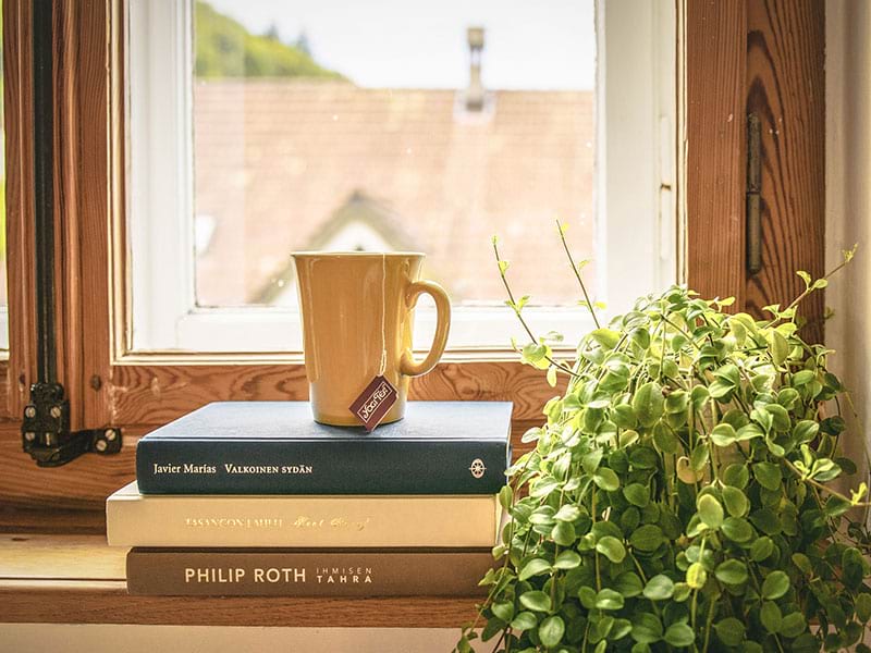 A teacup resting on top of three books on a windowsill, a leafy green house plant on a stand, and a view of the gabled roof of a neighbor’s house through the window.